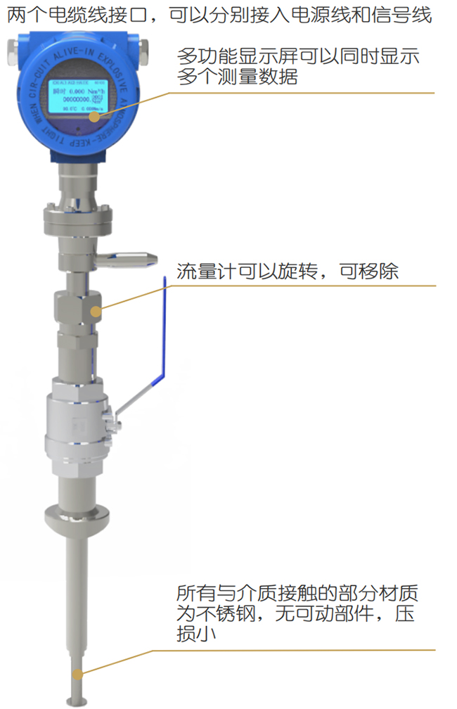 煙氣熱式氣體質量流量計結構圖